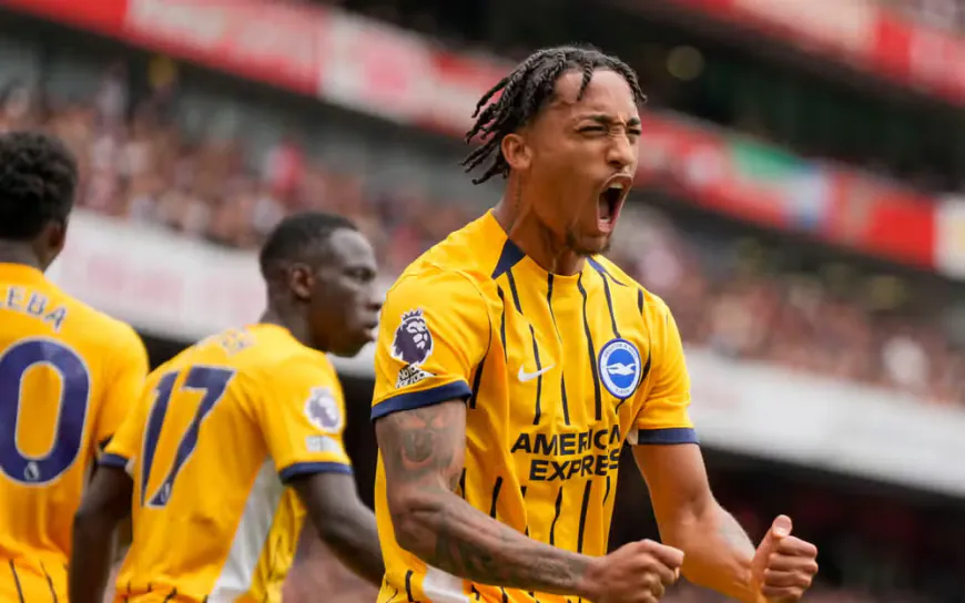 Brighton XI vs Newcastle: Injury Updates and Predicted Lineup