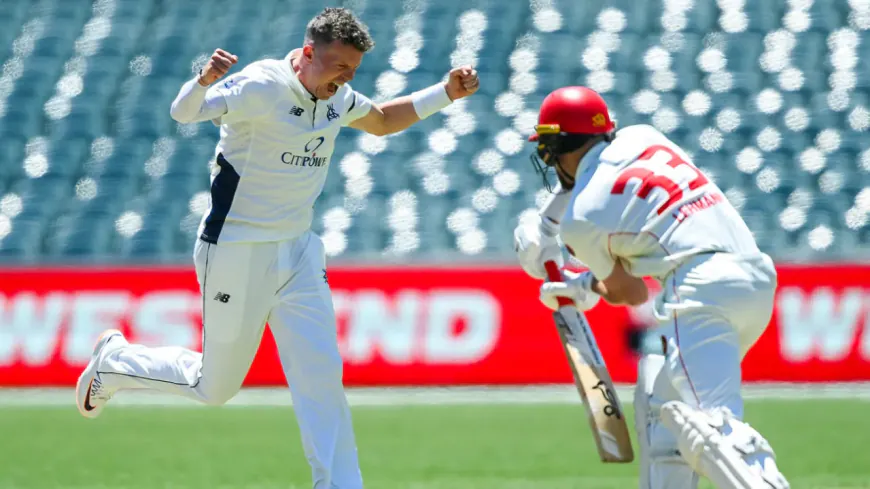 Peter Siddle Shines as Victoria Holds Firm Against South Australia in Sheffield Shield Clash