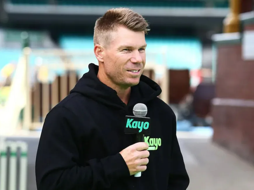 David Warner Questions Cricket Australia Over Ball Tampering Controversy