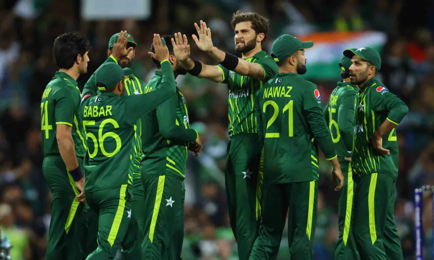 Shaheen Afridi Stars as Pakistan Clinch Series with 81-Run Win Over South Africa