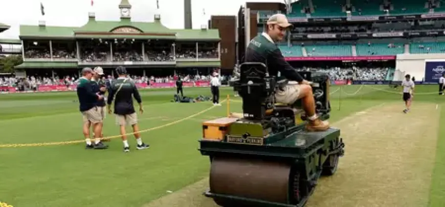 SCG pitch for final test between Australia, India gets only 'satisfactory' grade from ICC