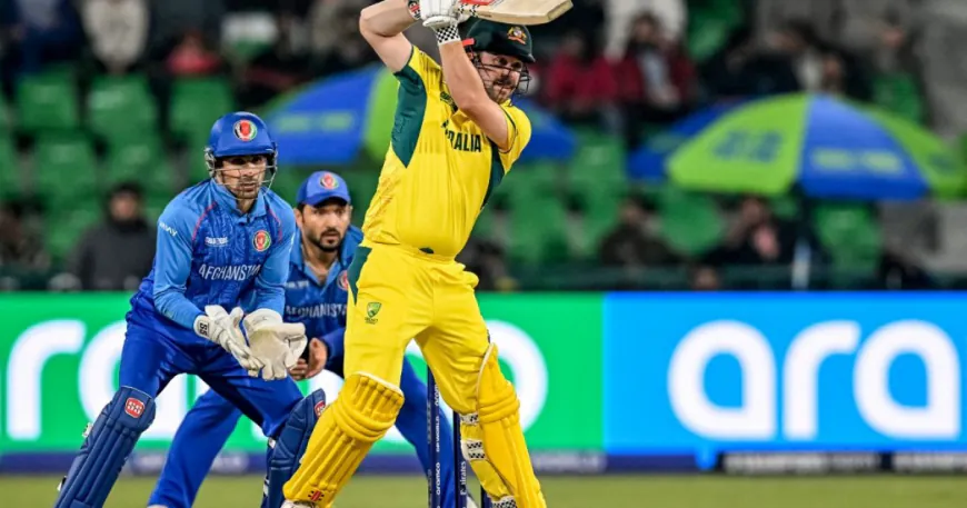 Australia Storm into Semi-Finals as Rain Dashes Afghanistan's Hopes